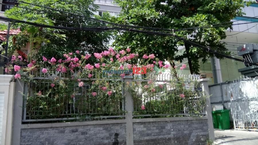 Cho thuê căn hộ mini cao cấp thuộc toà nhà Dahlia Aparments, có thang máy, đầy đủ tiện nghi Quận Bình Thạnh